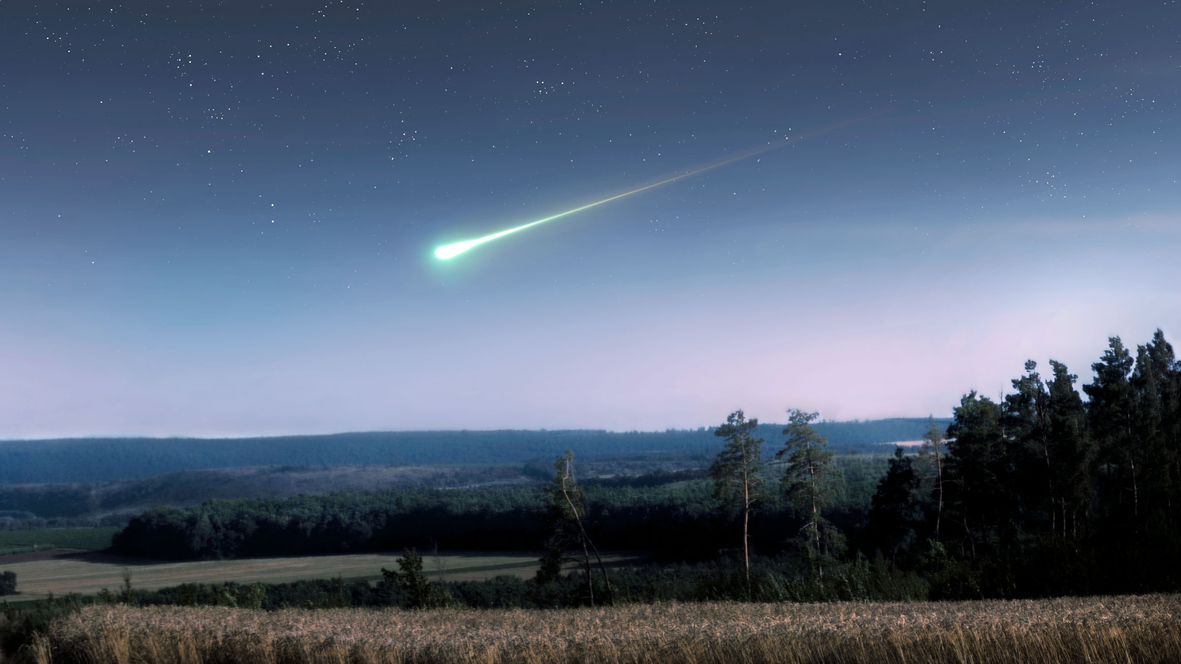 Meteorite that struck New Jersey home preserves chemistry from the early Solar System