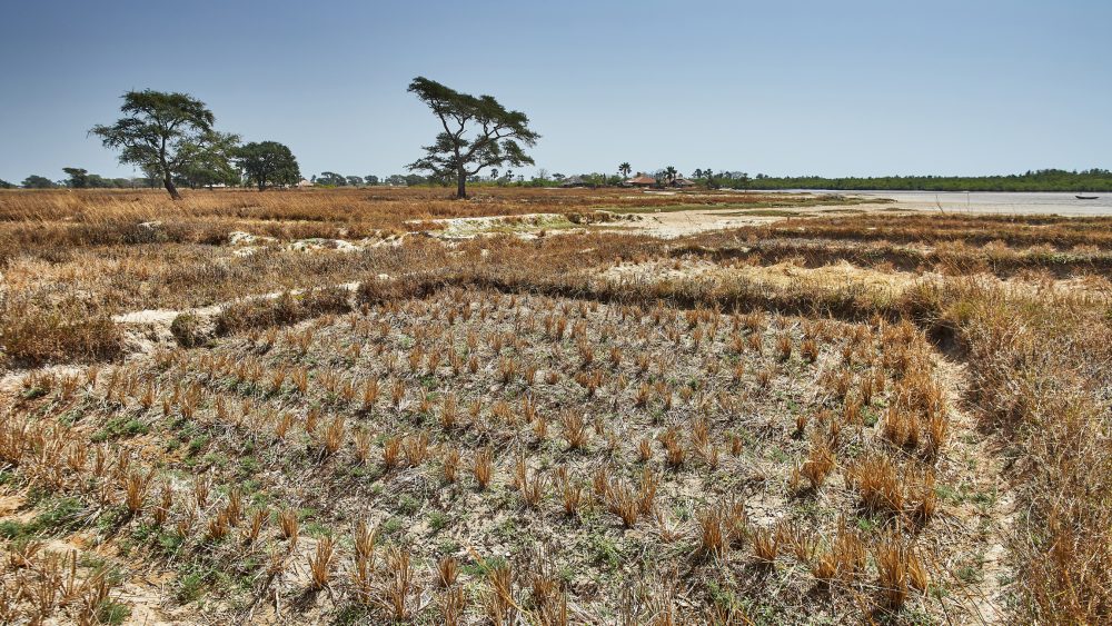 Millions face growing food insecurity as climate change hits small island nations