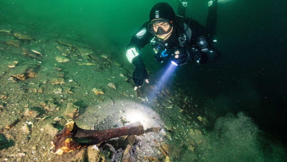 Underwater cave bones offer a new way to study extinct animals