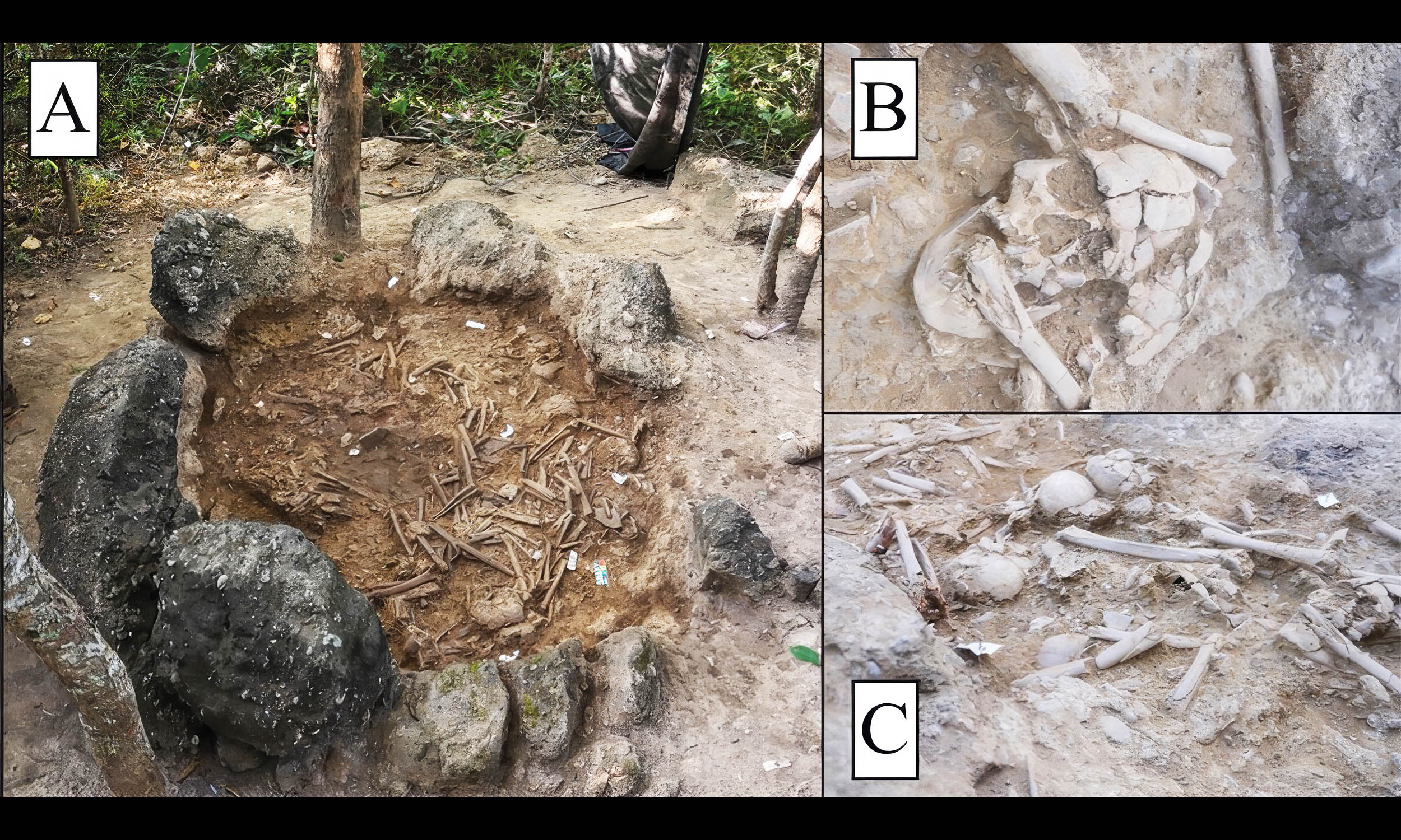 Discovery of giant stone jars packed with human bones solves century-old mystery