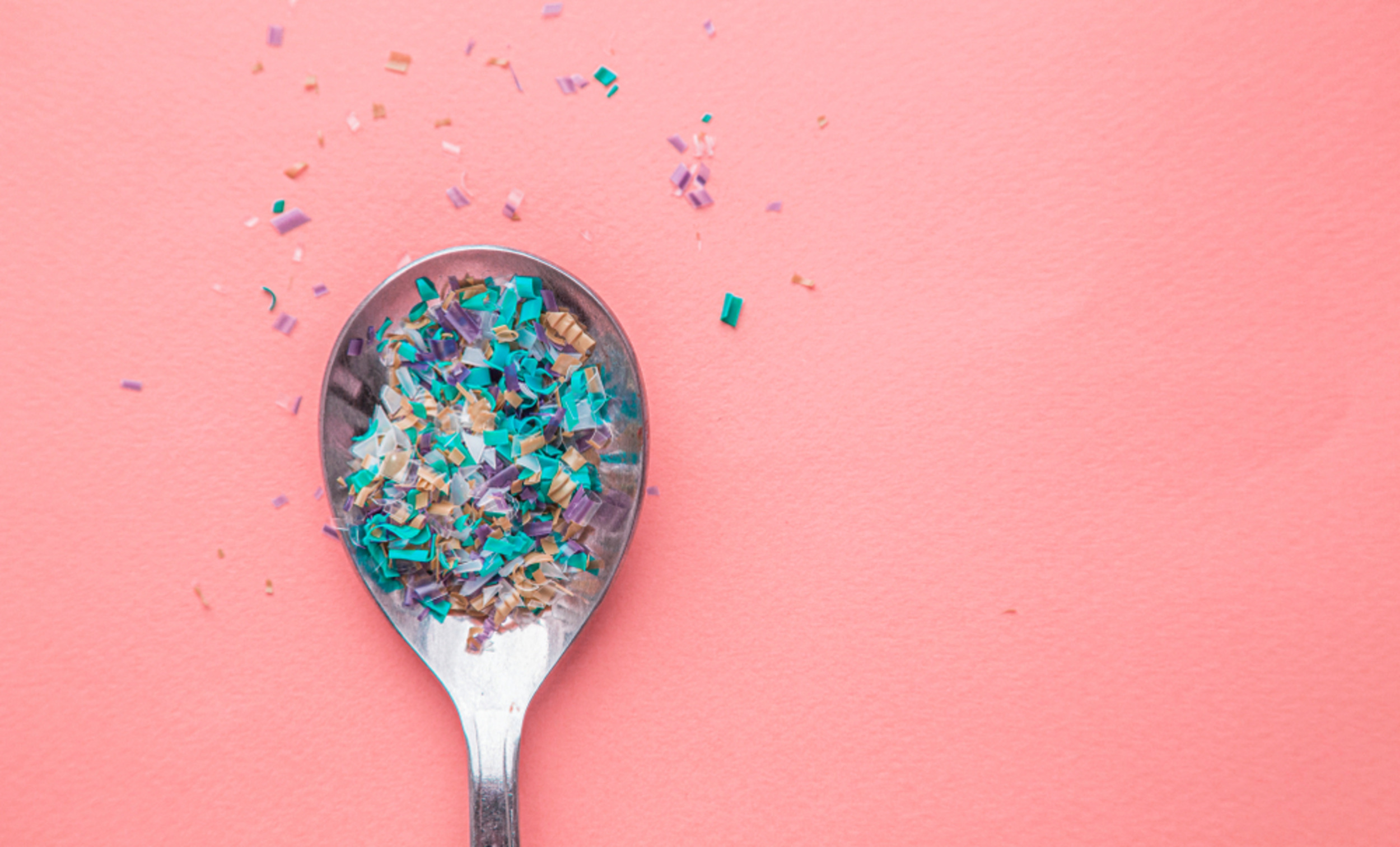 Microplastic research points to weaker bones