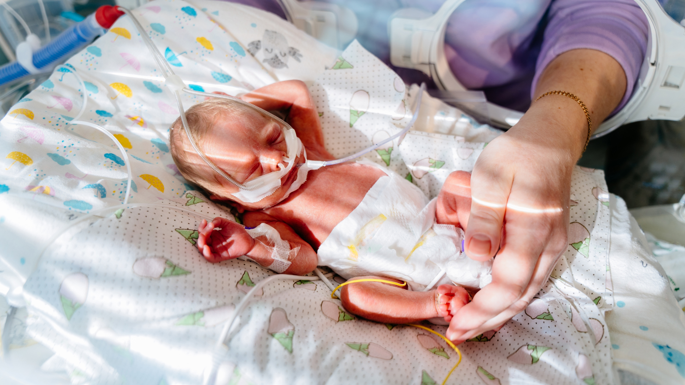 Study follows preterm babies for 34 years and finds one childhood predictor of adult success