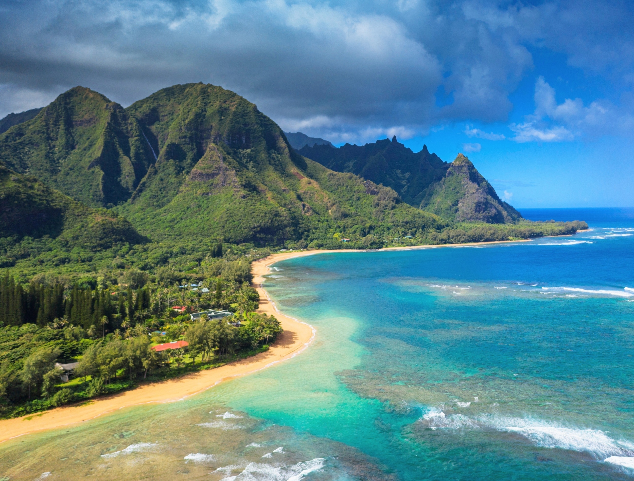 Islands are losing the biodiversity that made them unique