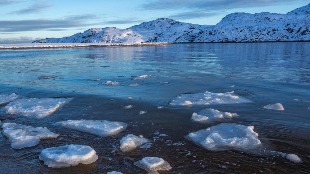 Arctic winter sea ice decline resumes after years of apparent stability