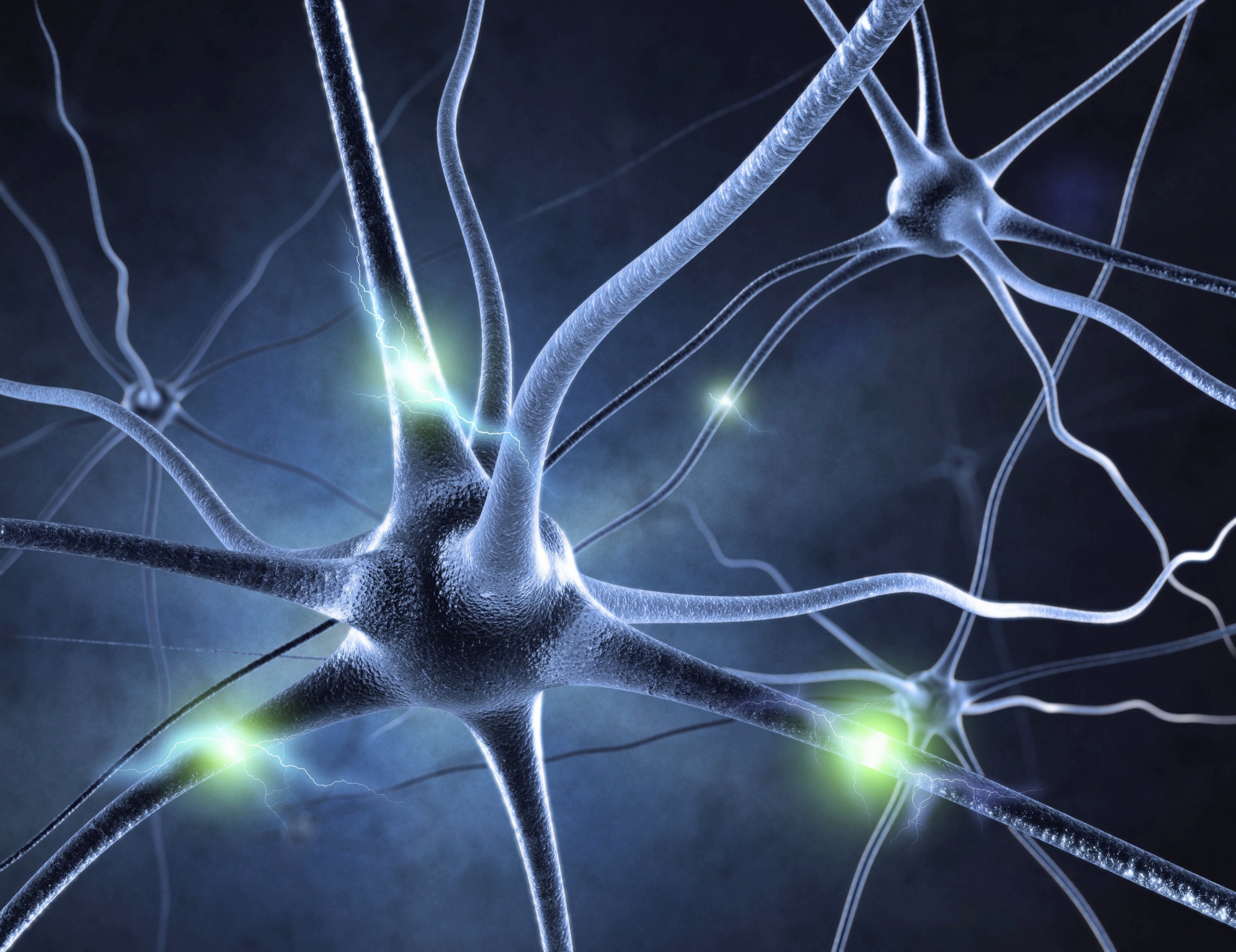 Scientists rank the disorders that age the brain the fastest