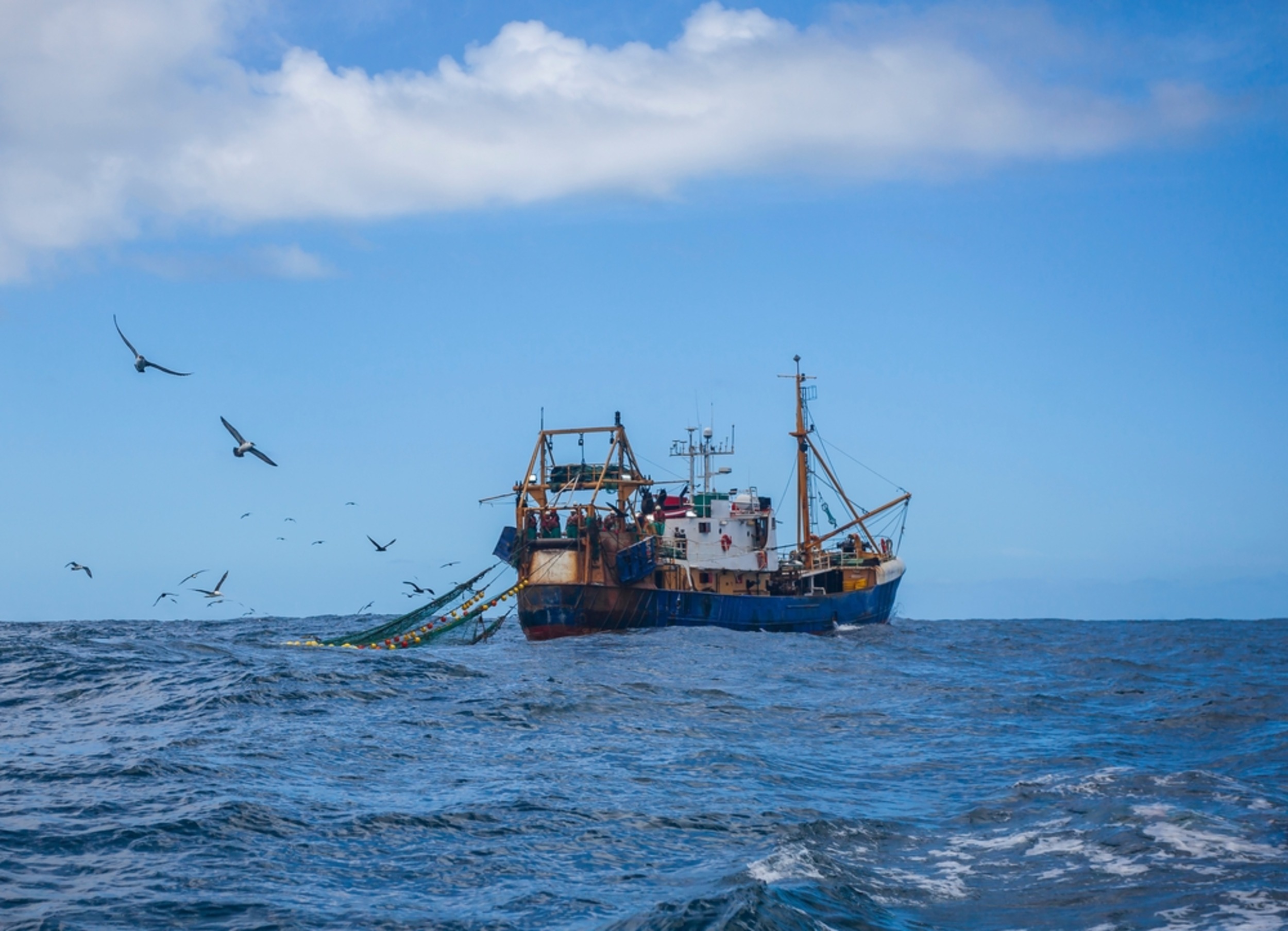 Fishing is draining nutrients from the ocean