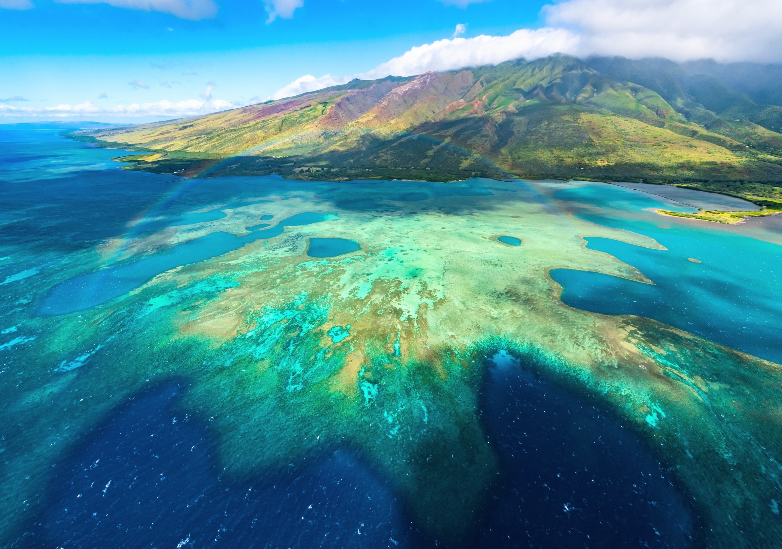 Hawaiian corals face escalating heat