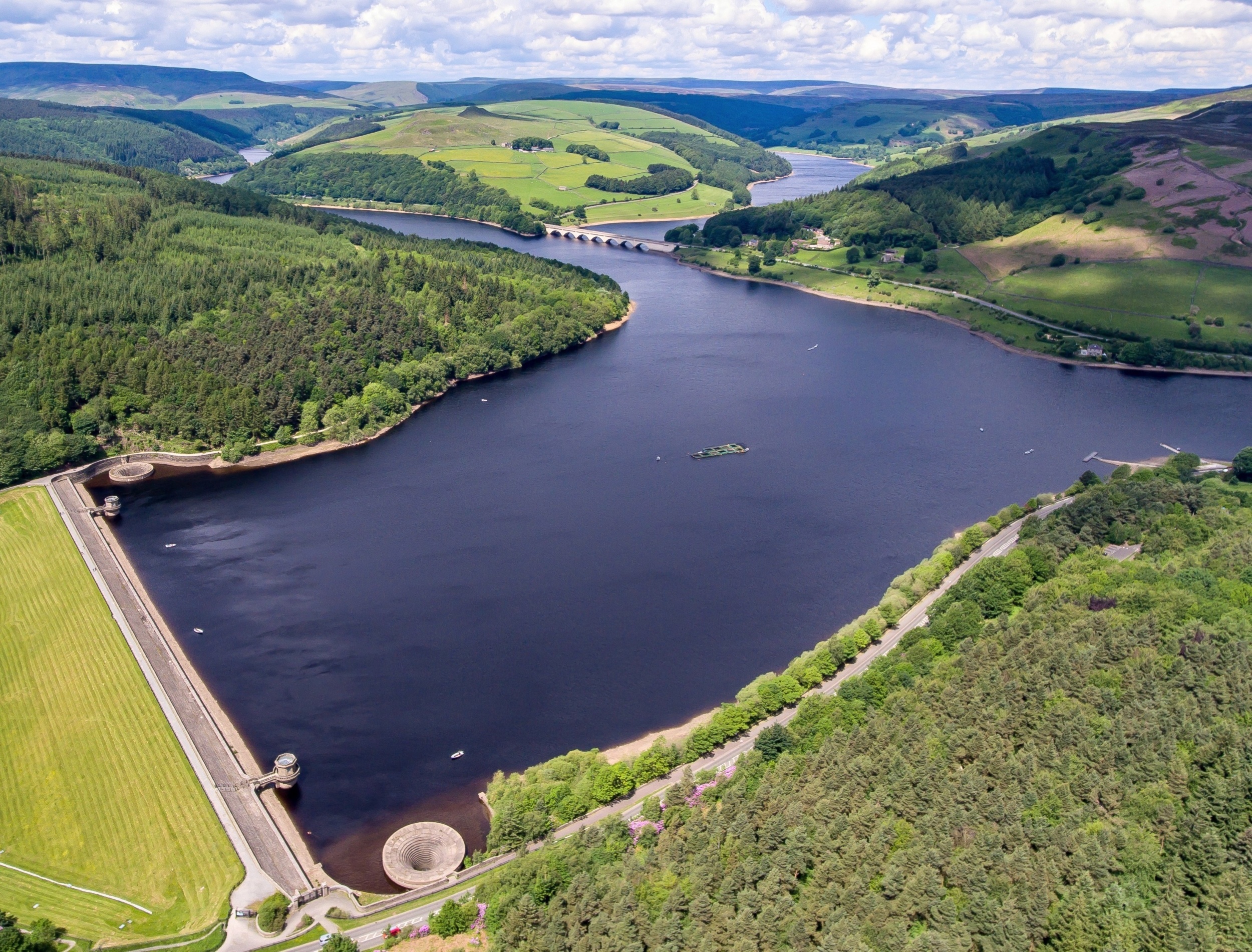 Tiny microbes keep giant reservoirs stable as everything else changes