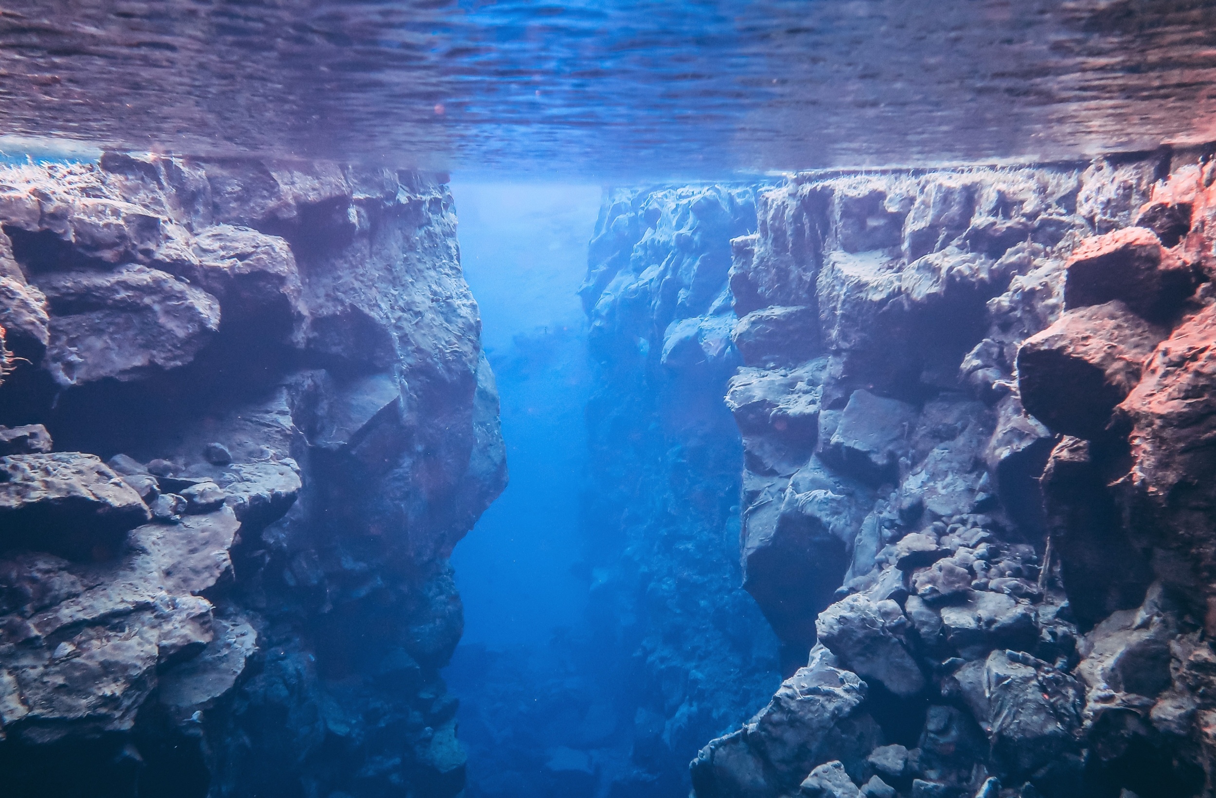 Scientists witnessed the birth of new ocean floor for the first time