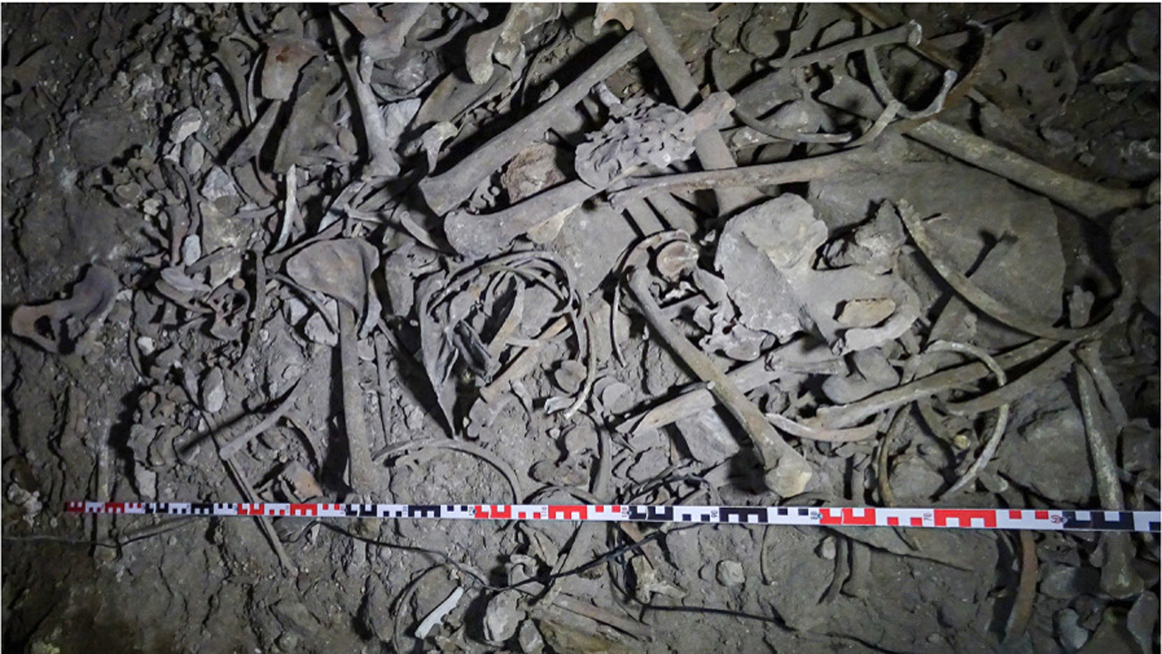 Lost Himalayan population discovered through ancient DNA