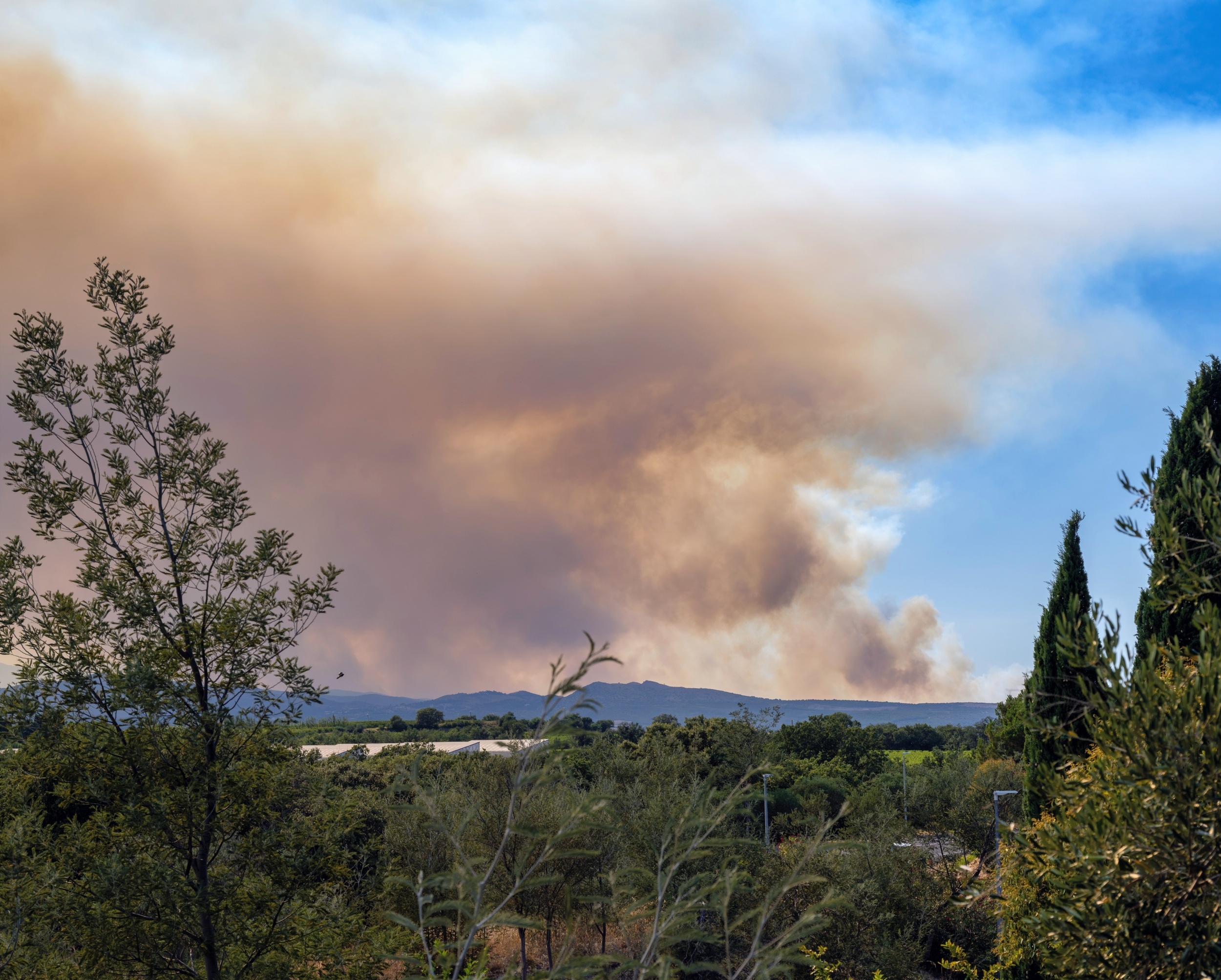 Wildfires in France built their own thunderstorms