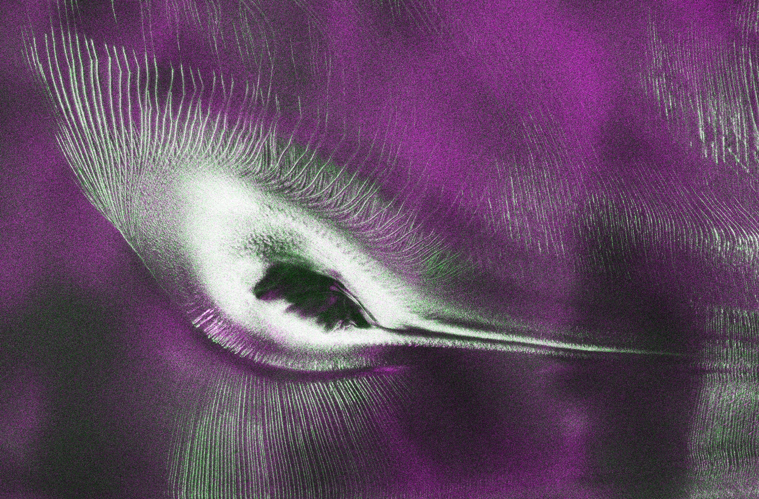 Powerful new satellite used radar to capture this image of a mountaintop in Antarctica