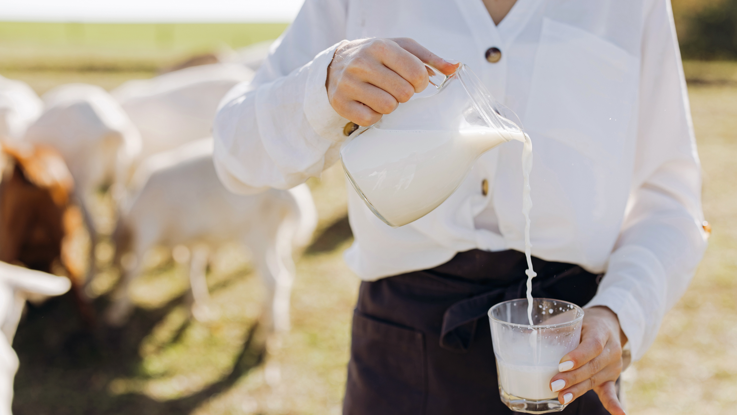 Why the milk label matters more than you think