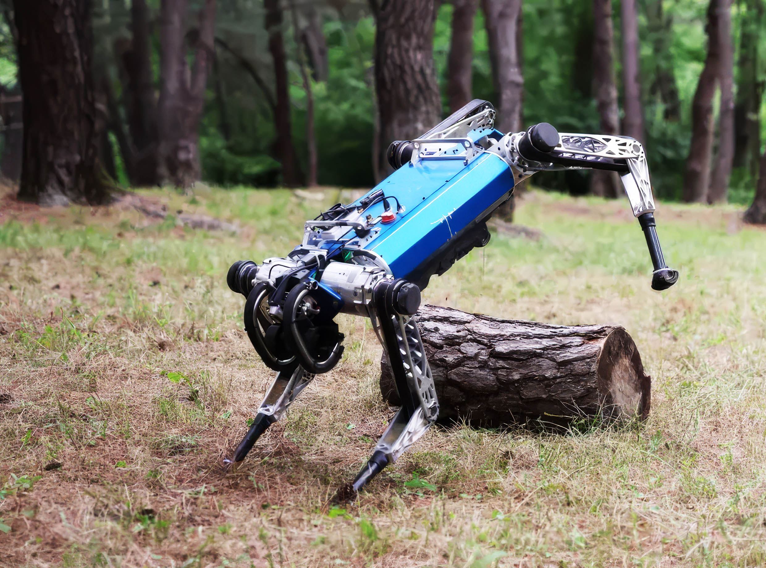 Dog-like robot adapts its movement to changing terrain