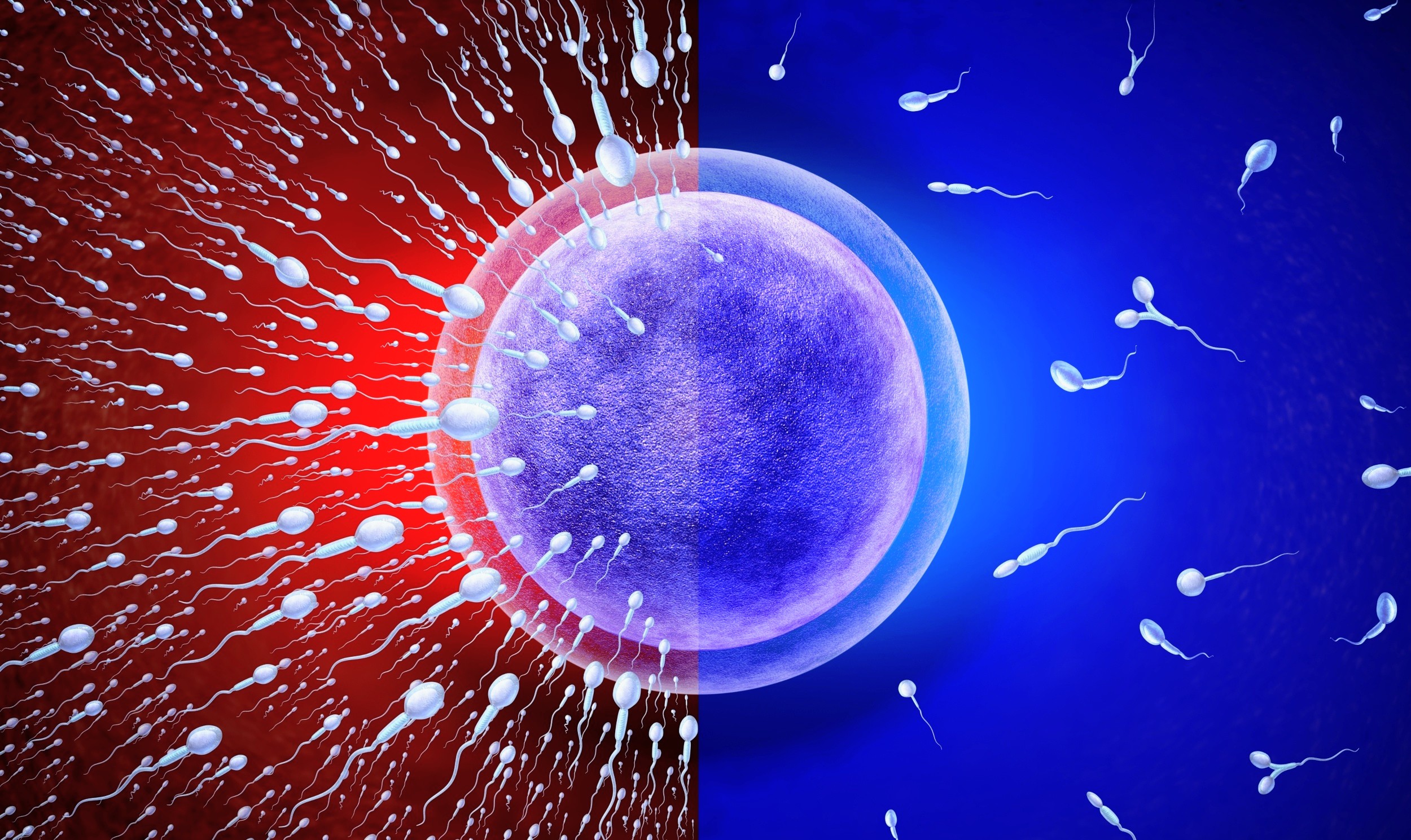 Body fat may be lowering sperm counts, even in men with a healthy weight