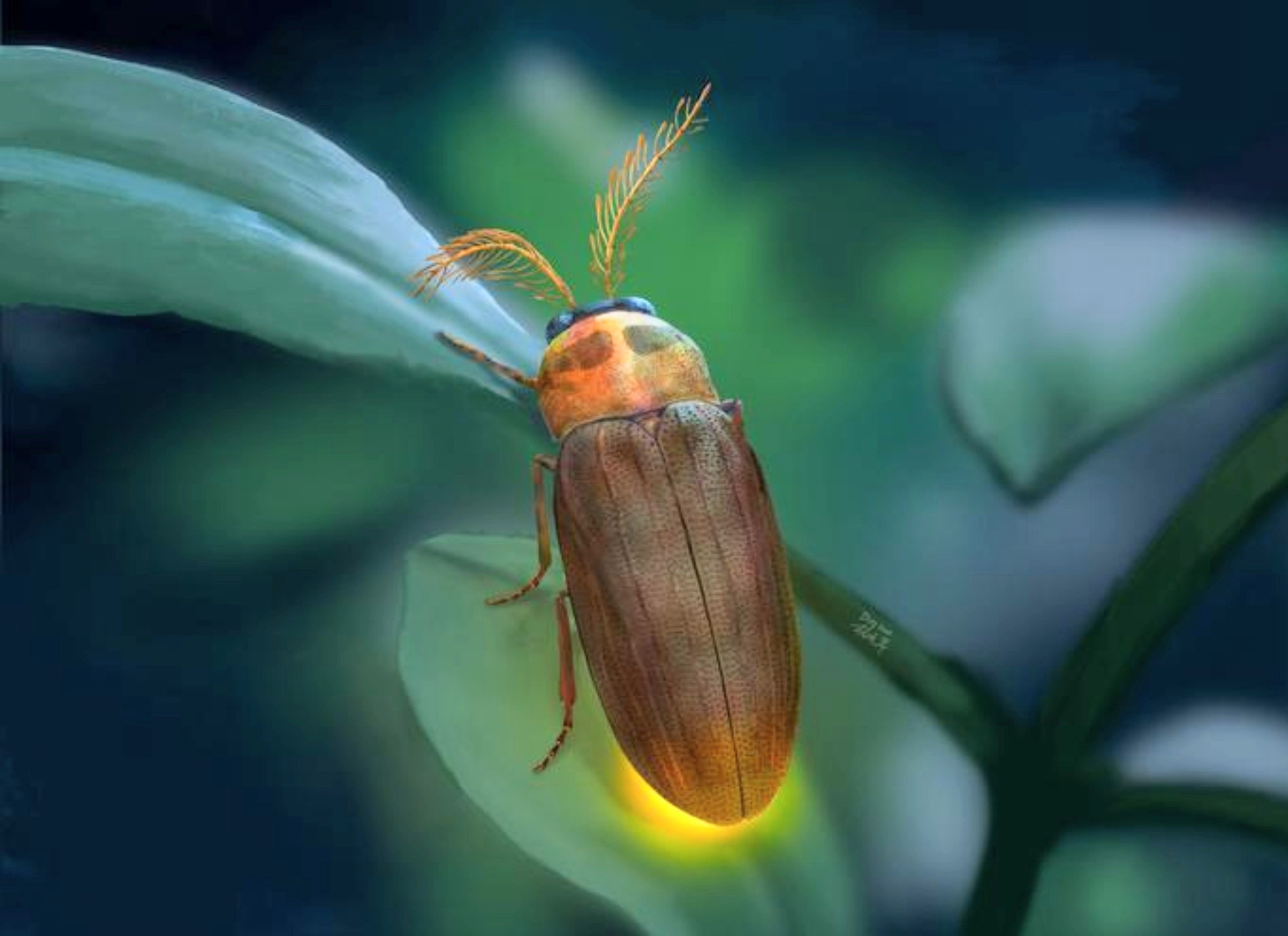 Early firefly relatives may have relied on smell and light to survive