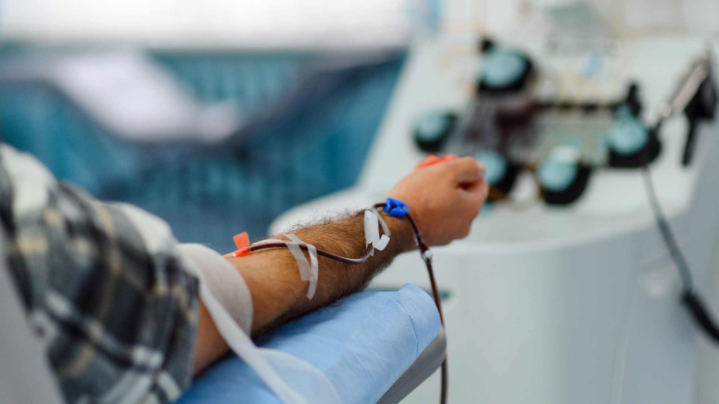 Forever chemicals may have a way out of the bloodstream
