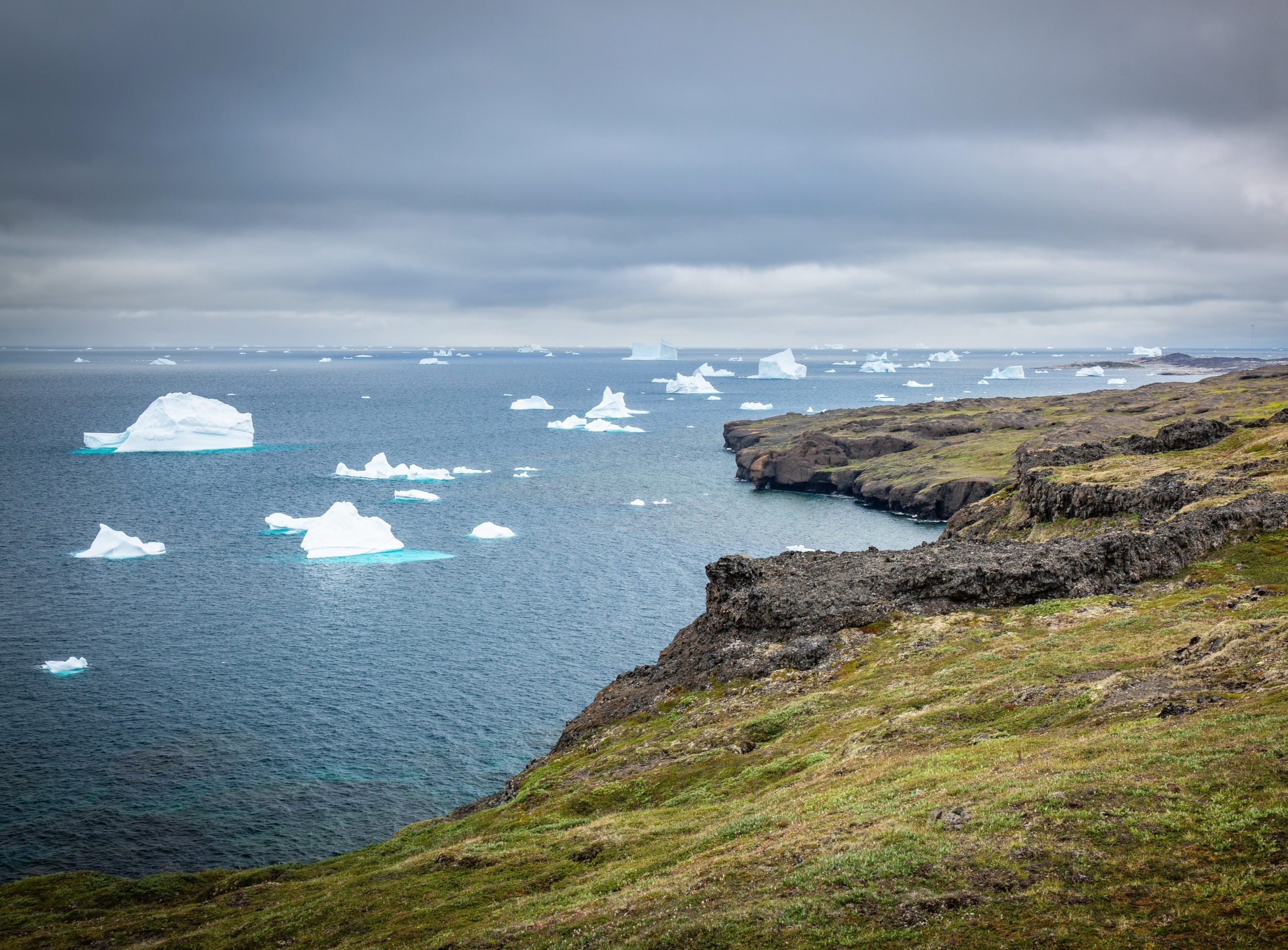 Carbon that escapes from Arctic permafrost has an unexpected fate