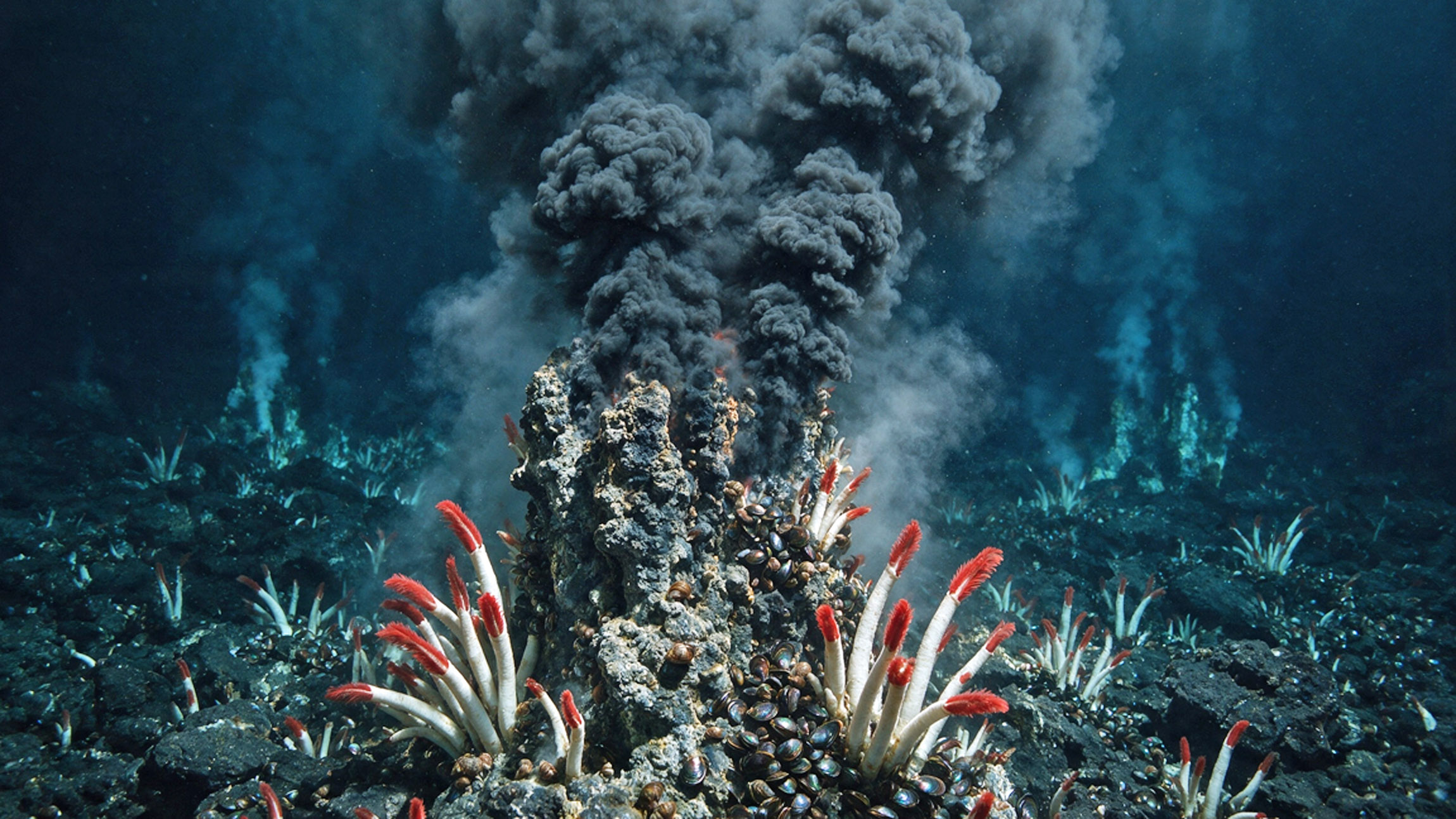 Earth may have had two separate origins of life